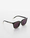 VANTA Aquila Sunglasses - Gloss Black & Gold Metal