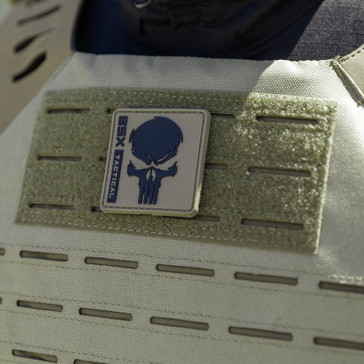 BSX Skull Plate Carrier