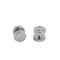 Machined Goggle Screw Set "Icon" Silver