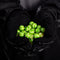 VANDAL Magfed Paintballs 2000rd – Striped Shell