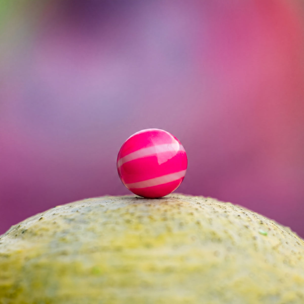 VANDAL Magfed Paintballs 2000rd – Striped Shell