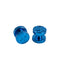 Machined Goggle Screw Set "Icon" Blue