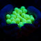HK Army UV-Activated Glowball™ Paintballs - 2000RDS